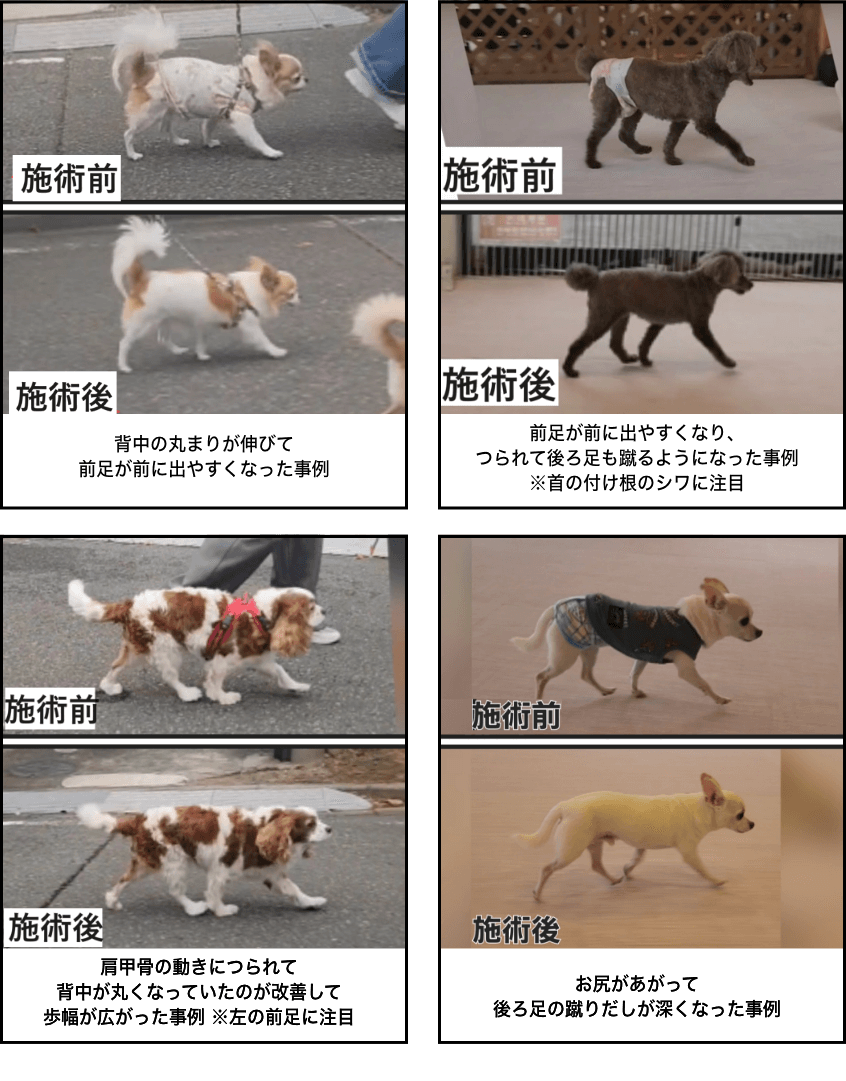 会有什么样的效果呢