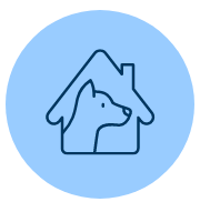 愛犬にケアしてあげたい人へ