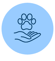 自ら学びを深めたい人のための独学用コンテンツ