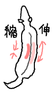こーぎー2