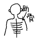 こーぎー3