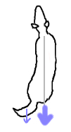 こーぎー5