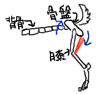 Cちゃん10