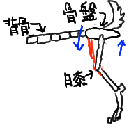 Cちゃん113