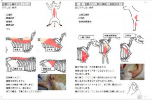 出張施術3