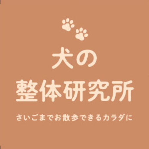 犬の整体　研究所 　神奈川県藤沢市の犬のマッサージ屋さん