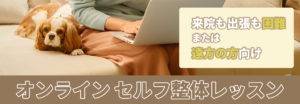 オンライン　セルフ整体レッスン